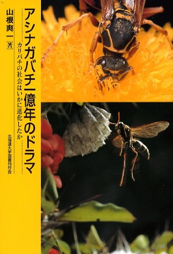 アシナガバチ一億年のドラマ―カリバチの社会はいかに進化したか