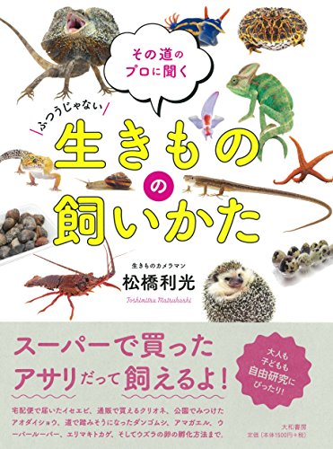 家にピッチピチの伊勢エビがやって来た! さあどうする? 『その道のプロに聞く 生きものの飼いかた』 書影