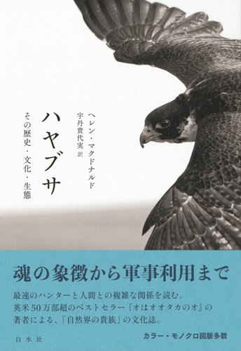 ハヤブサ:その歴史・文化・生態