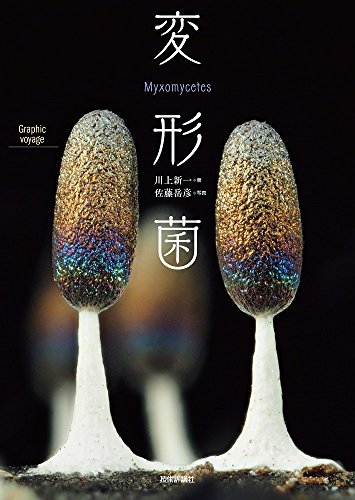 明治神宮と『変形菌』 書影