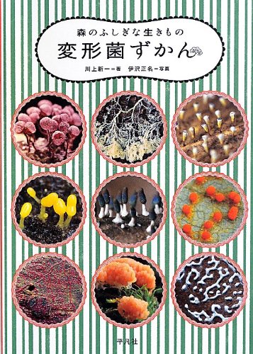 森のふしぎな生きもの 変形菌ずかん