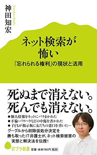 ネット検索が怖い (ポプラ新書)