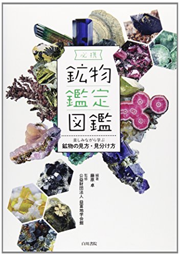 必携 鉱物鑑定図鑑―楽しみながら学ぶ鉱物の見方・見分け方