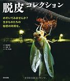 脱皮コレクション
