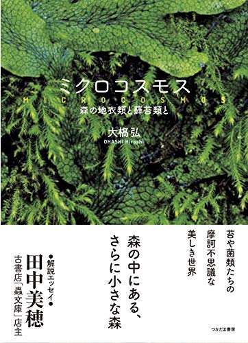ミクロコスモス: 森の地衣類と蘚苔類と