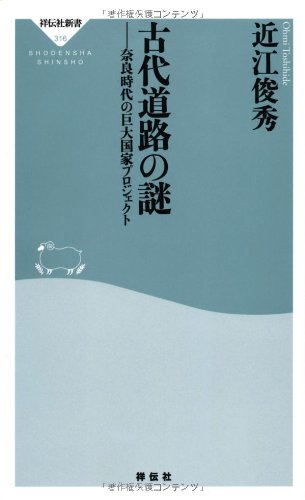 古代道路の謎―-奈良時代の巨大国家プロジェクト(祥伝社新書316)