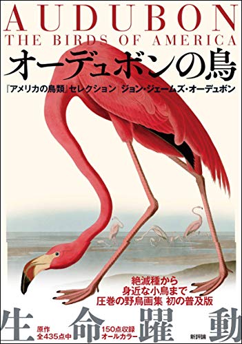 オーデュボンの鳥: 『アメリカの鳥類』セレクション