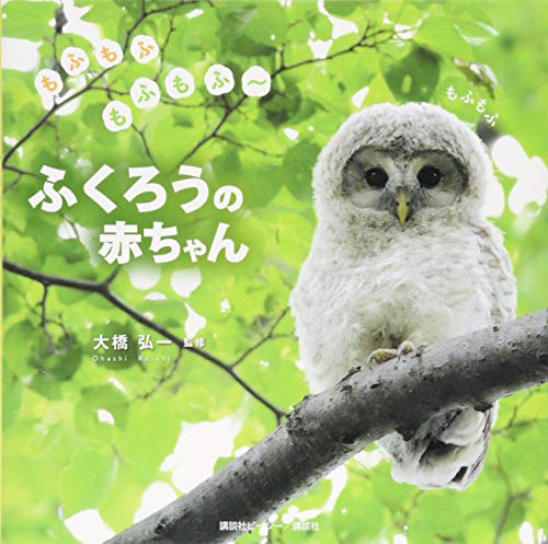 もふもふもふもふ~ ふくろうの赤ちゃん