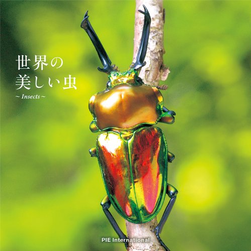 世界の美しい虫