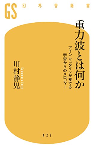 重力波とは何か アインシュタインが奏でる宇宙からのメロディー (幻冬舎新書)