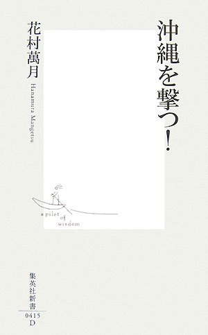 沖縄を撃つ! (集英社新書 415D)
