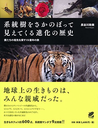 系統樹をさかのぼって見えてくる進化の歴史 (BERET SCIENCE)