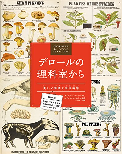 デロールの理科室から 美しい掛図と科学考察