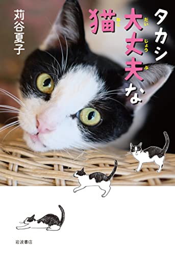 え~っ、二本足で走るネコ!?『タカシ 大丈夫な猫』 書影