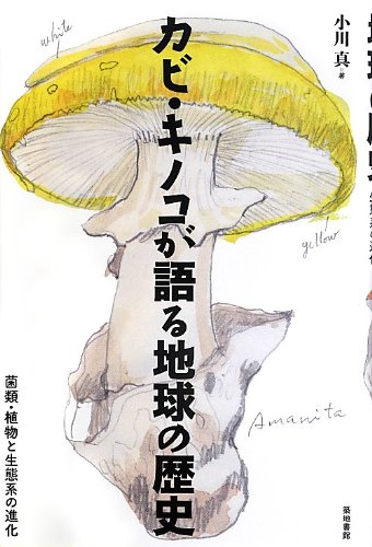 カビ・キノコが語る地球の歴史: 菌類・植物と生態系の進化