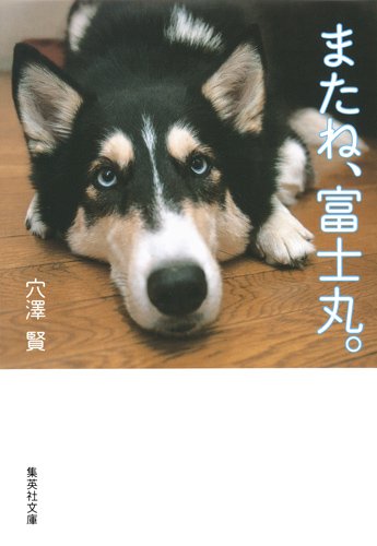 『またね、富士丸』文庫解説 by 東 えりか 書影