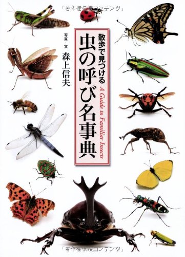 虫の呼び名事典 (散歩で見つける)