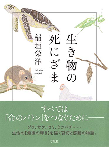 セミが最期に見ているのは?『生き物の死にざま』 書影