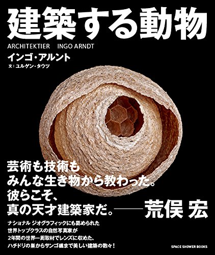 今週のいただきもの（７月第４週） 書影