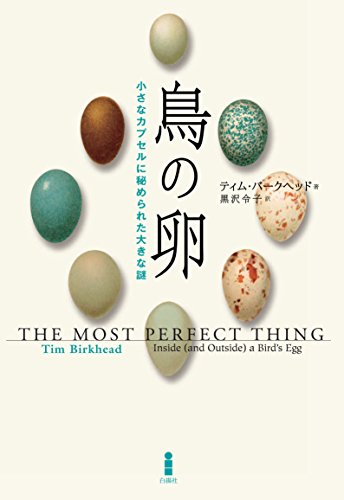 鳥の卵―小さなカプセルに秘められた大きな謎