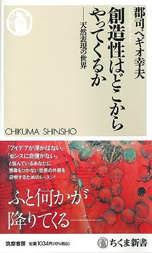 『創造性はどこからやってくるかーー天然表現の世界』創造とは外部を召喚すること 書影