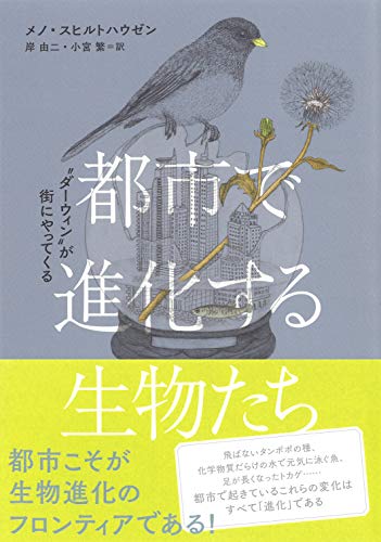 進化の実験場たる都市──『都市で進化する生物たち: ”ダーウィン”が街にやってくる』 書影