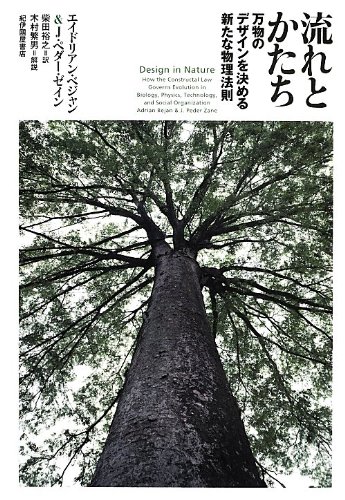 流れとかたち――万物のデザインを決める新たな物理法則
