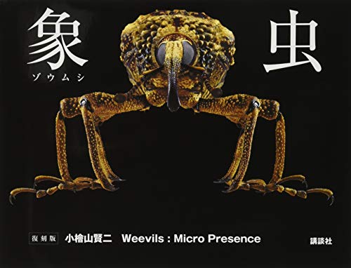 象虫 Weevils:Micro Presence 復刻版