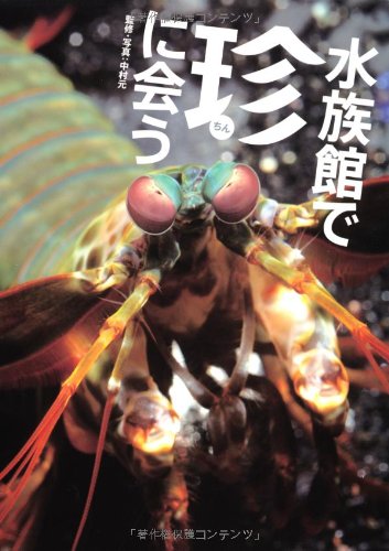 水族館で珍に会う