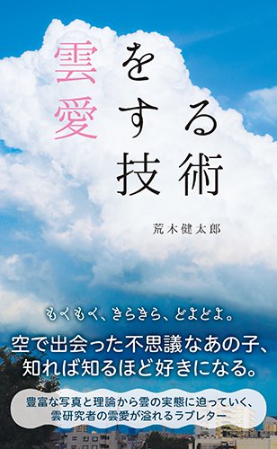 雲を愛する技術 (光文社新書)