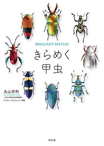 昆虫研究者に囲われた、セクシーすぎる愛人たちの図鑑『きらめく甲虫』 書影